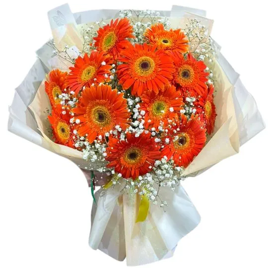 Ramo de 12 flores gerberas con isofilas y papel coreano